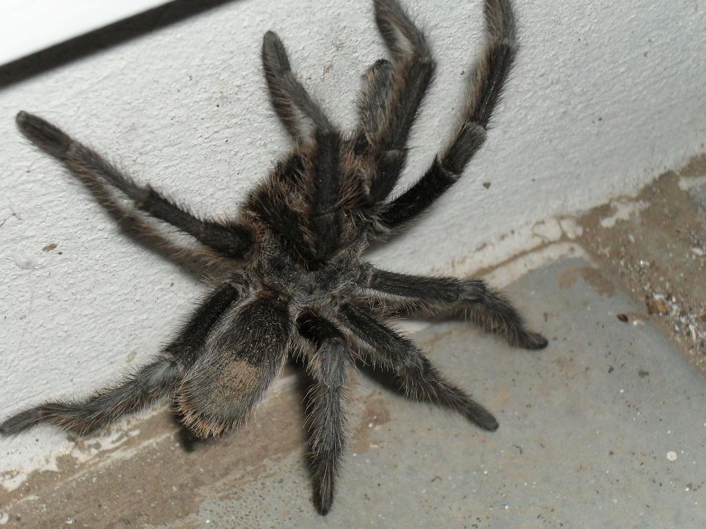 [​IMG]